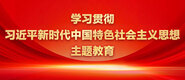 美女小逼逼超多小视频学习贯彻习近平新时代中国特色社会主义思想主题教育_fororder_ad-371X160(2)